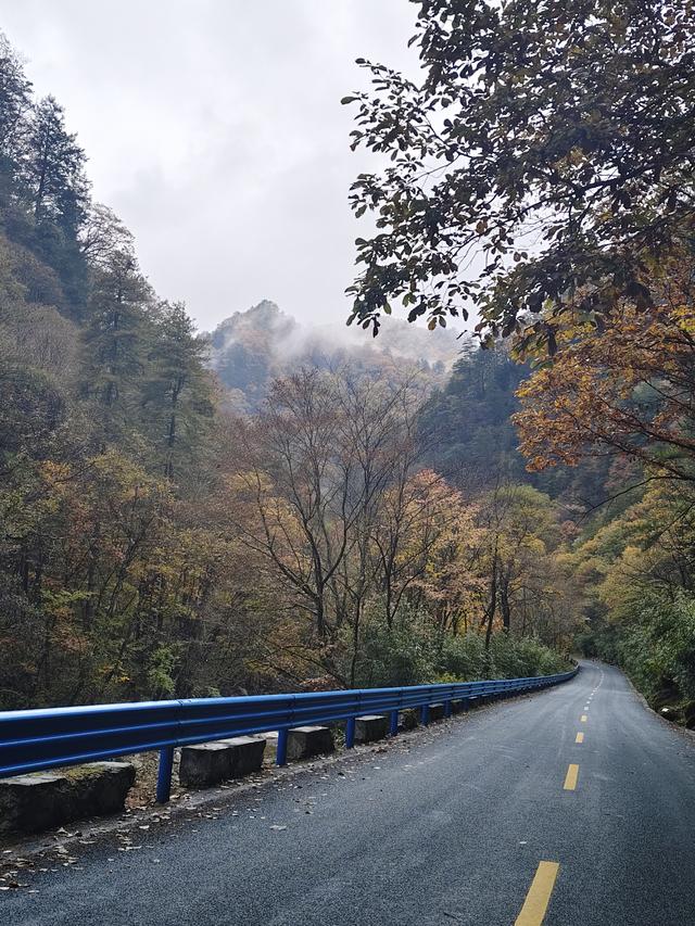 南行漫记：329公里的穿越之路，带你一起看红叶