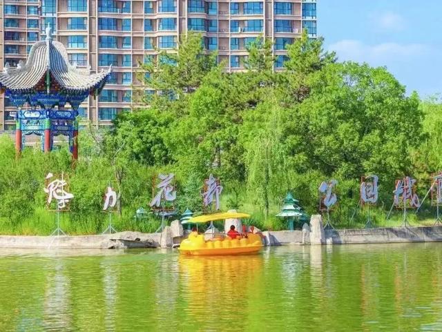 从晨风到星光，在临夏邂逅夏日“小确幸”