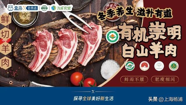 来复兴岛当一天快乐“岛民”