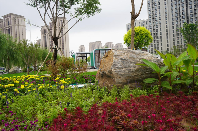 新城区101公园：都市中的自然乐园