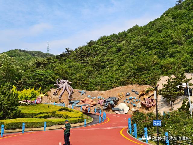 大连海之韵公园·棒槌岛
