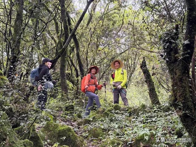 攀登昆明十峰之宜良老爷山，经历密林大雨考验，惊喜交加，难忘