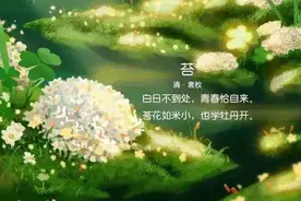 八首诗词中的“恰”字，真真是恰到好处，恰如其分，美到了极致图片