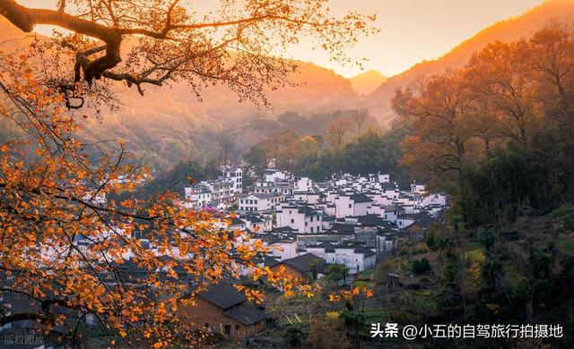 9 地秋日赏秋实测攻略！附最佳时间 + 落地玩法，收藏直接走
