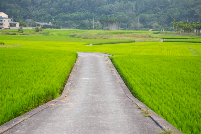 邵阳县下花桥镇和谷洲镇自然村落名录