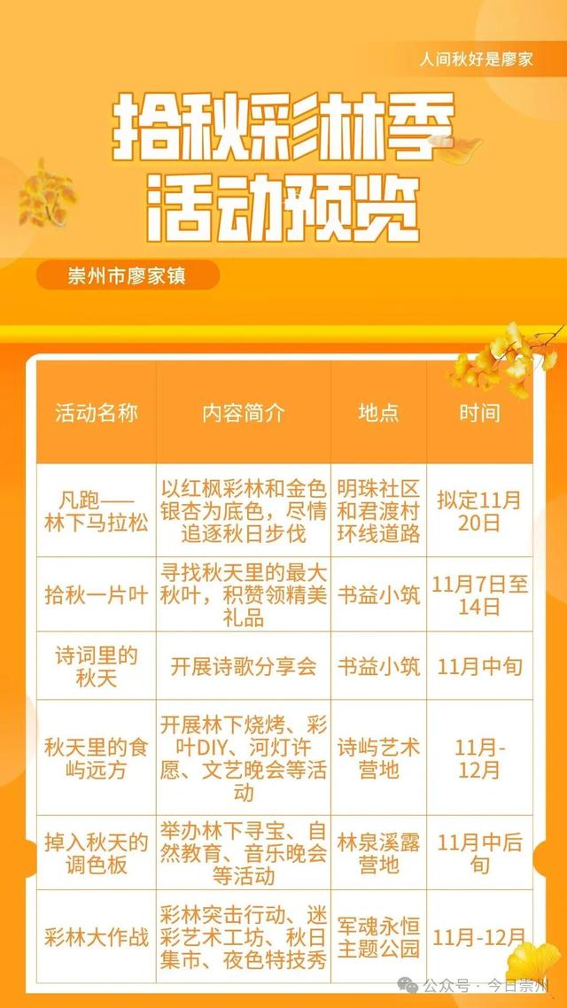 浪漫启幕！将持续至12月