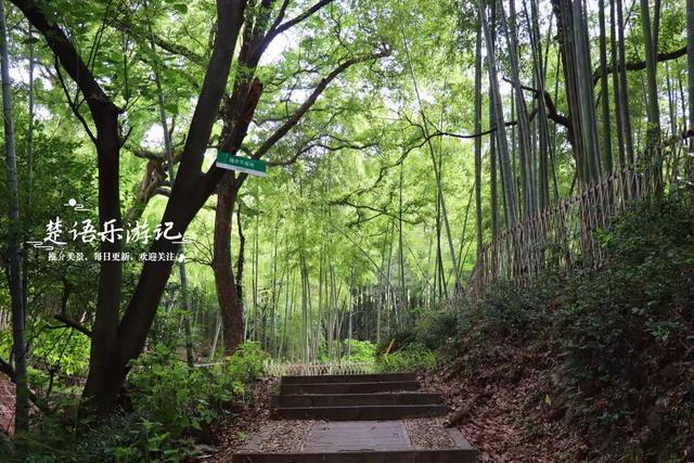 浙江宁波的小灵峰古道，连接着诸多古寺，不仅景美还很适合徒步