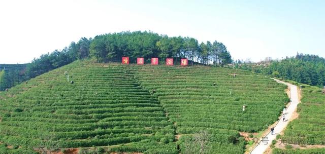 光山“福牛杯”路亚赛将启,人文自然任体验