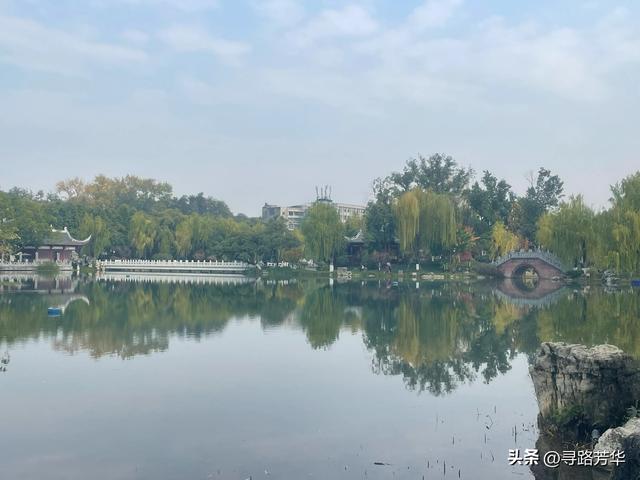 南充行：从枯黄到碧绿的十二小时