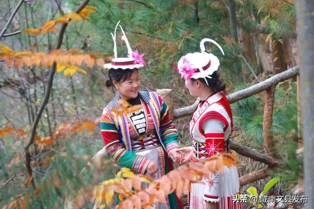 初冬，与白马山寨共赴一场诗意之约