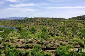 践行“两山”理念 建设绿色低碳平川图片