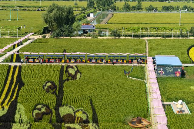 辽宁沈阳：一处画在田间人在画中的景区吸引来自四面八方的游人