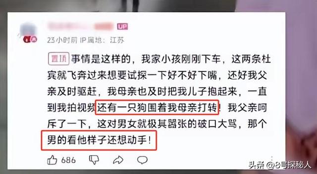 江苏杜宾犬飞扑幼童：事情已了结，当地人透露更多，女子身份可疑