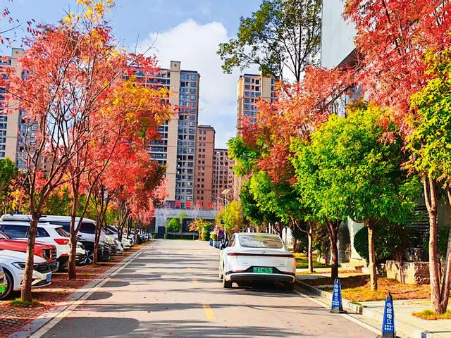 【新年絮语】陆良培芳医院之美