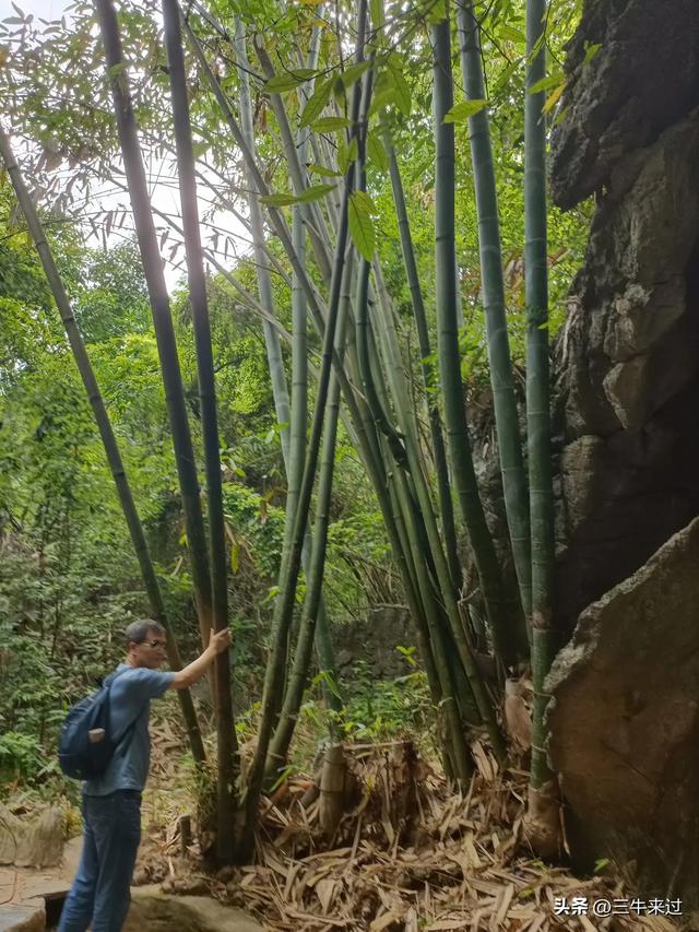 无为在歧路，贵州六日行（8）～黄果树