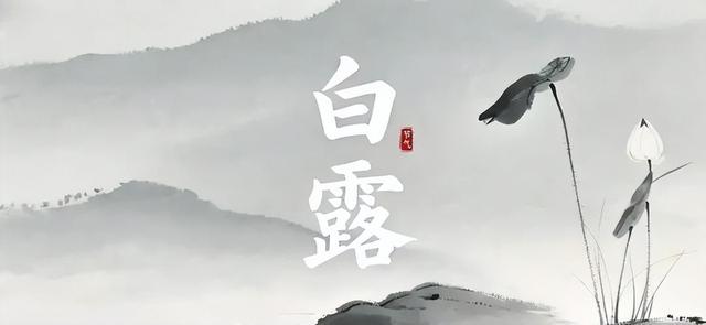 “白天白露，单衣过冬；夜晚白露，冻死老牛”，今年白露在几点？