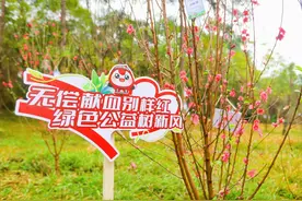 春植希望 爱满邕城——2025年南宁市无偿献血爱心林植树公益活动在狮山公园举行图片