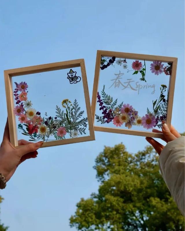 悦遵义·赴春约|三渡镇赏花游活动来啦!!!