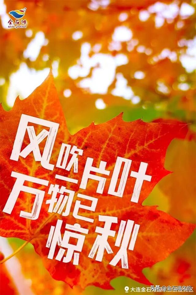 金石滩金秋限定款攻略