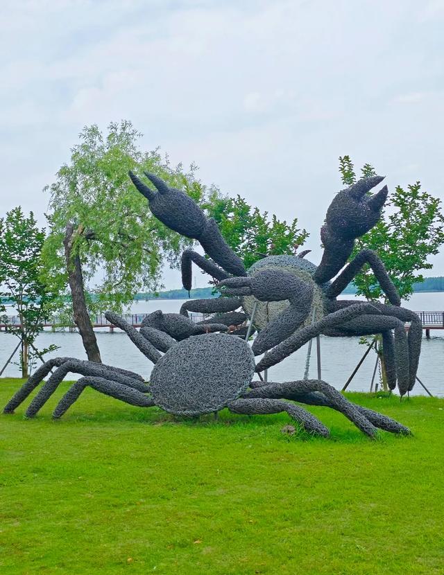 上海人必去!这座5A景区免门票免停车费,风景美到窒息!
