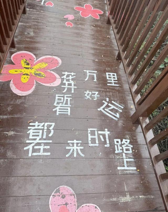 河南焦作现五彩步道	，1300米钢架防腐木，免费开放游客暴增