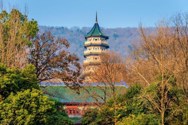 石象路银杏黄了！秋日南京必走的几条经典路线