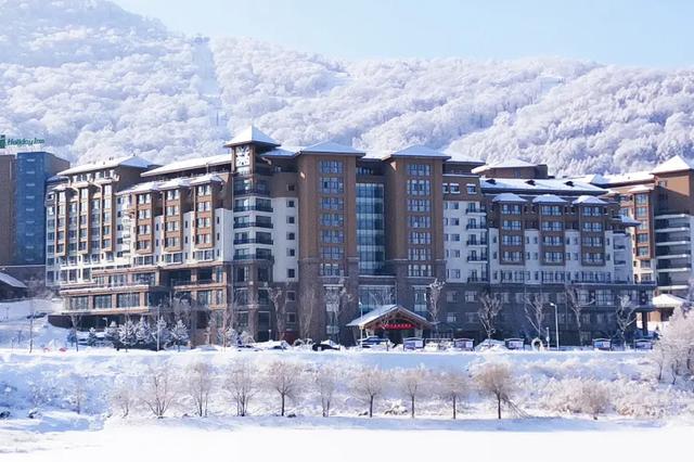 “雾凇之都”新雪季全剧透来啦→