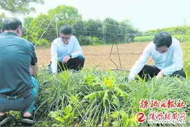 “90后”北大博士后，回株洲建民宿图片