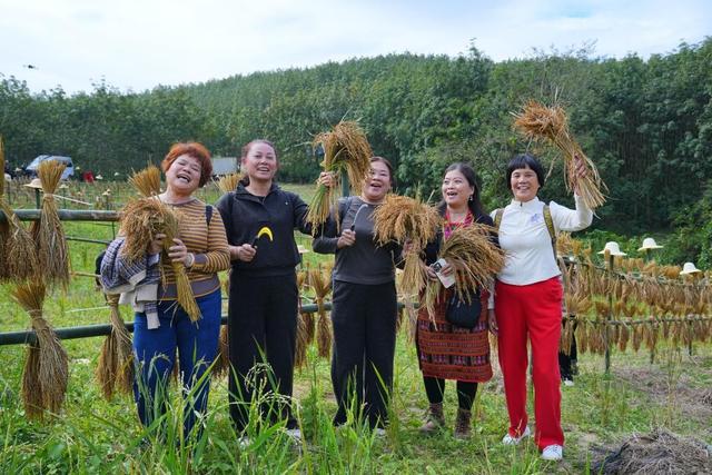 2025年白沙“啦奥门”雨林与您山兰文化活动盛大举行