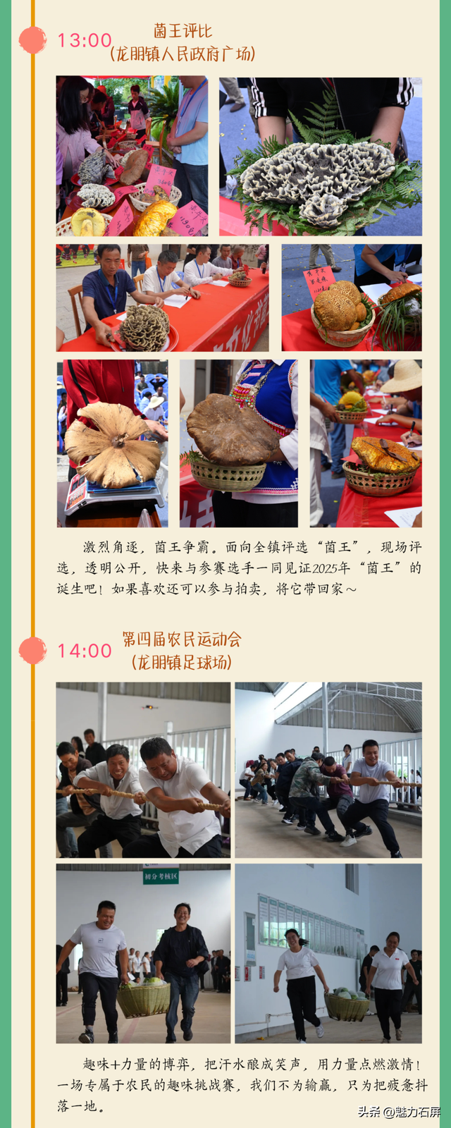 “菌子之约”——石屏龙朋镇野生菌文化节暨农民运动会活动日程来啦！