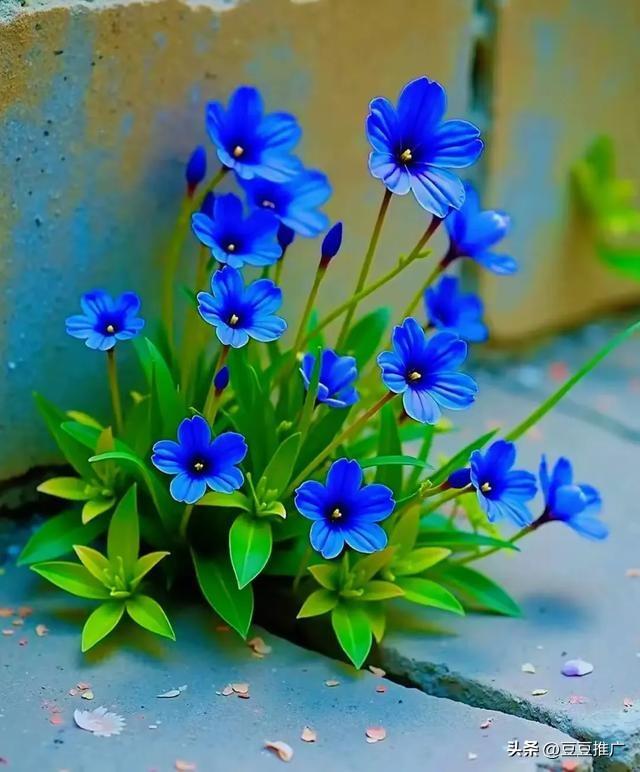 两性关系中，大多数女性害怕五十多岁的男性	，原因无非是以下几点