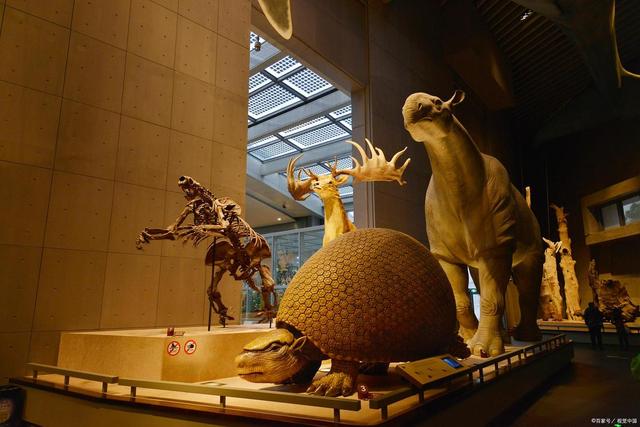 深度旅行六大招，让你告别浅尝辄止的打卡游，并不需要多花预算