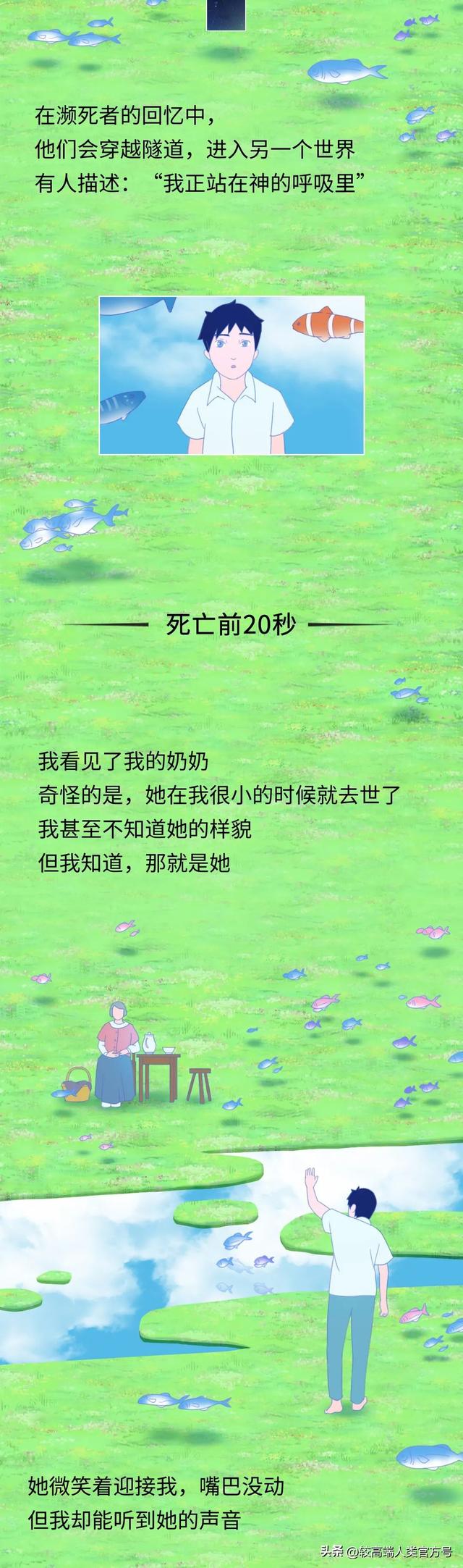 死亡前的30秒	，人会看见什么？