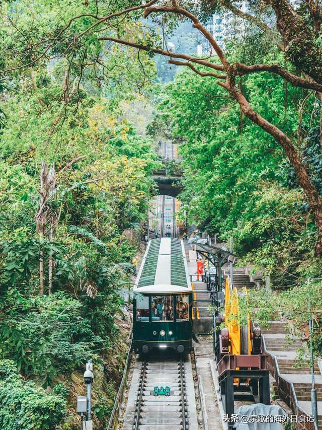 【旅游攻略】香港太平山：怎么爬上去？哪里可以免费拍维港全景？