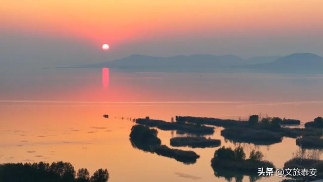 泰安“天空之镜”大火！连片芦苇+落日余晖 美到尖叫