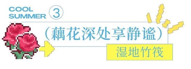 夜游模式开启！来净月解锁夏夜的隐藏玩法！