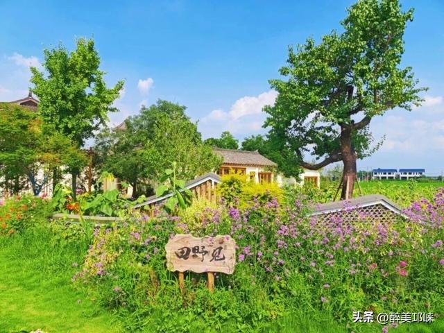 万千气象成都行 | 长达8天的假期，别去人挤人啦！来邛崃乡村松弛一下吧