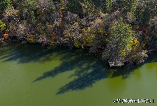 四川九寨沟：甲勿池金秋好风光