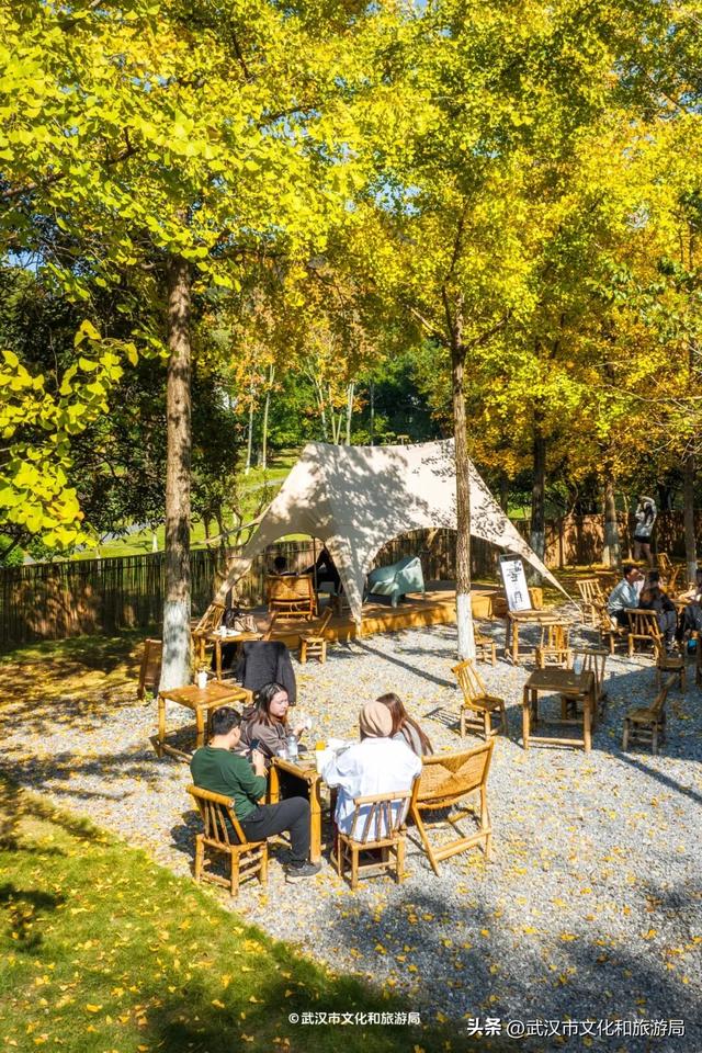 直冲20°C！武汉赏秋天花板，上新3个玩法