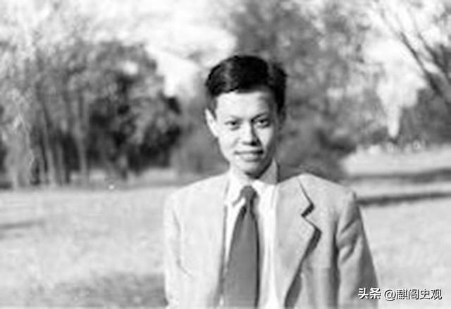 49岁无儿无女的翁帆，以后的生活早被杨振宁安排好了