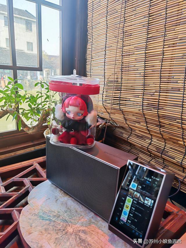 人少景美！2025年末打卡苏州震泽古镇，吃喝玩乐、打卡机位全攻略