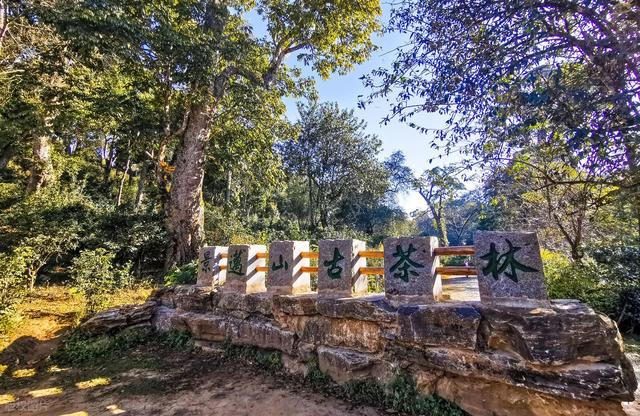 年末旅行，6处风景极致的户外山野，正是观景好时候