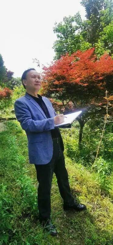 中国画创作院大美溪口东山旅游记