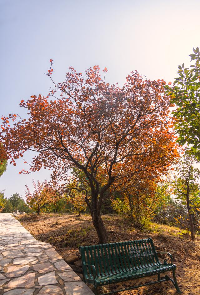 京郊游之红螺寺