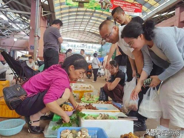 从聂耳、咖啡、野生菌到足球 今夏昆明用文化在全国“出圈”