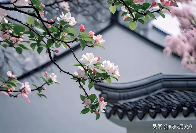 我45岁，我妈一有事就打电话给我，我让她找我弟，娘家事我不想管