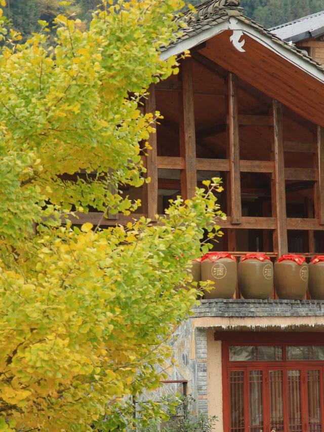 广元不远 周末优选 | 初露染山河，广元发来一份秋日邀请函