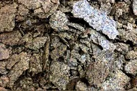 菜籽饼在施用前怎么发酵？图片