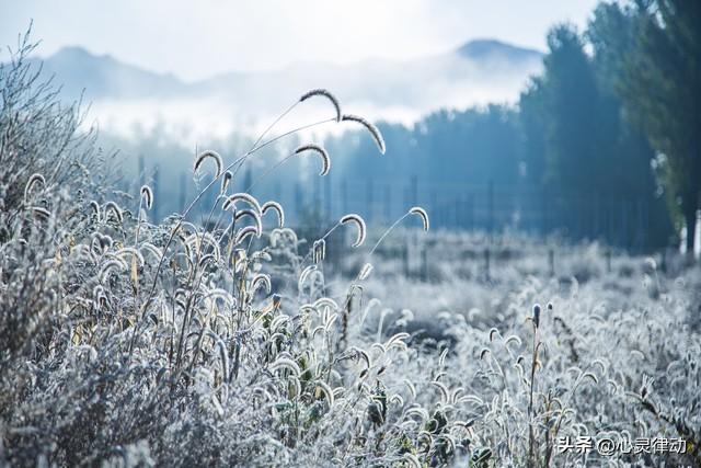 “冬雪多不多，就看十月初一	”，今日十月初一	，今冬降雪多吗？