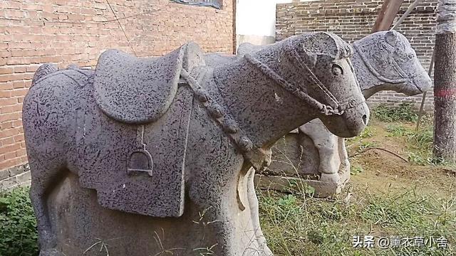 焦作温县千年古村！藏着古城址+新石器遗址